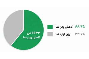نمودار وزن نما